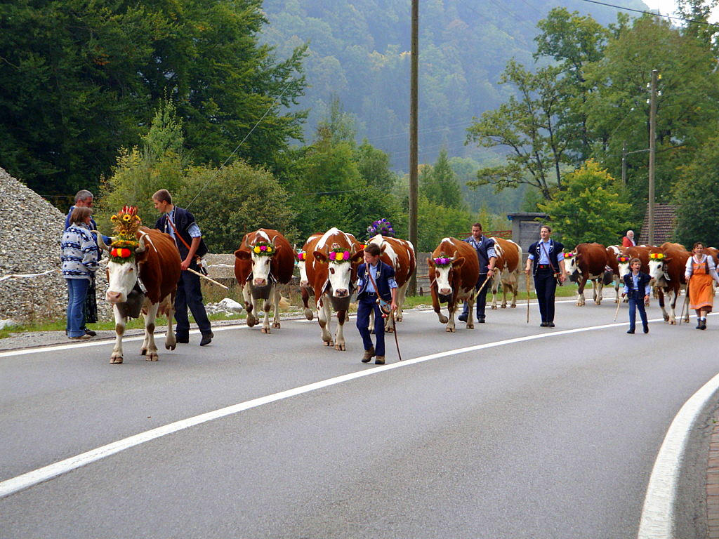 Gruyeres